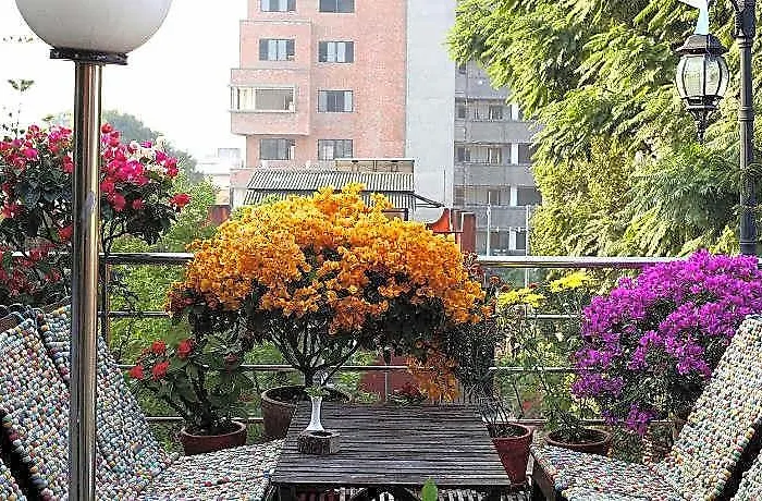 Shangrila Boutique