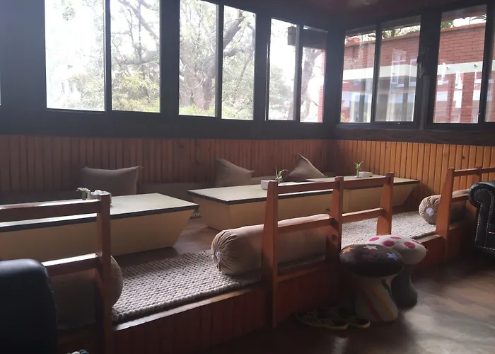 Shangrila Boutique Hostel *
